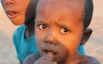 Les retombées Socio-économiques du Projet Volobe : Bilan et perspective